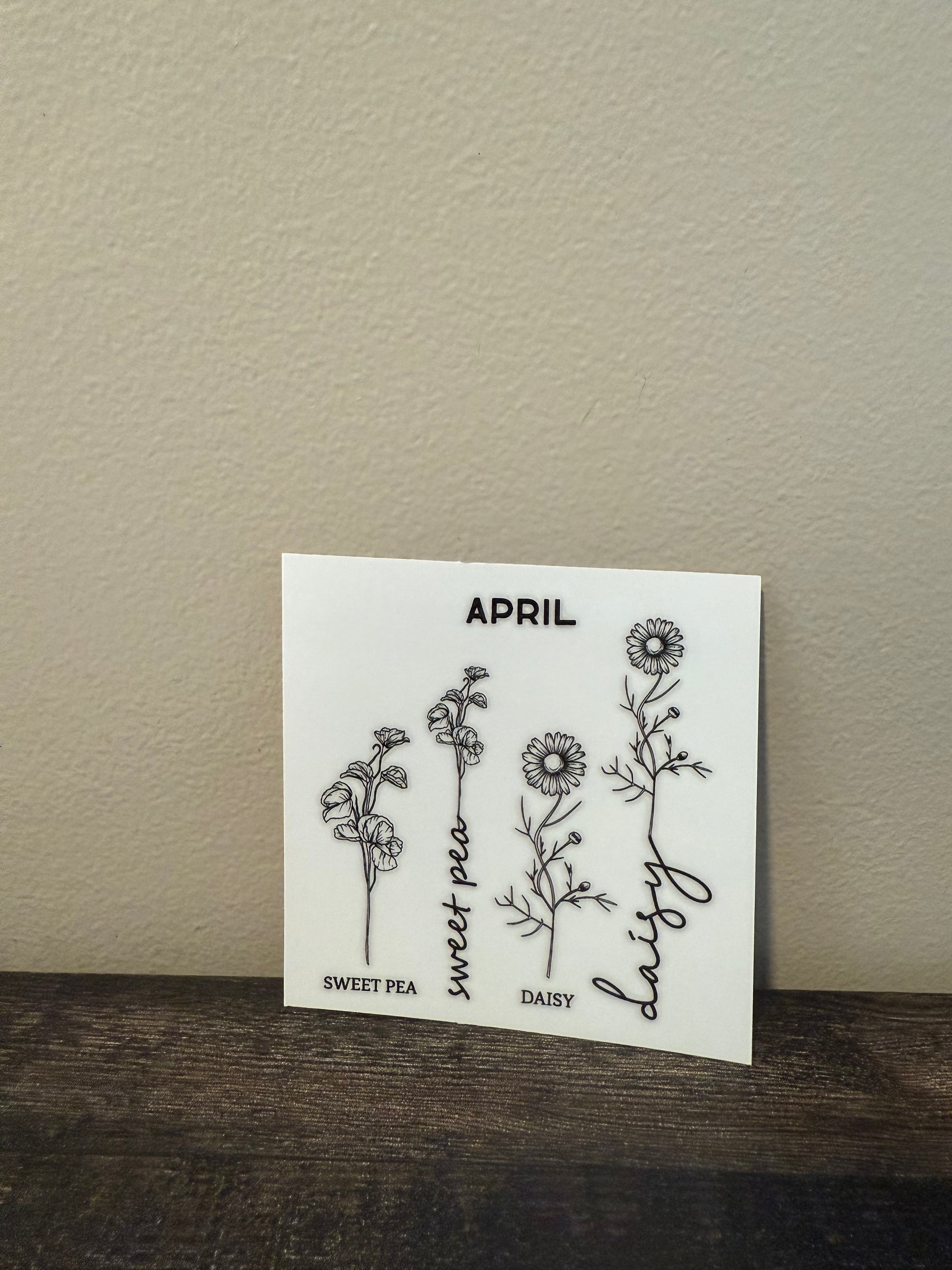 April birth flower in black